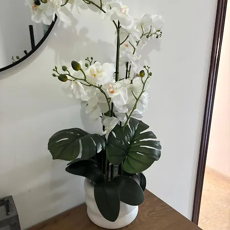 شقة Mountain View